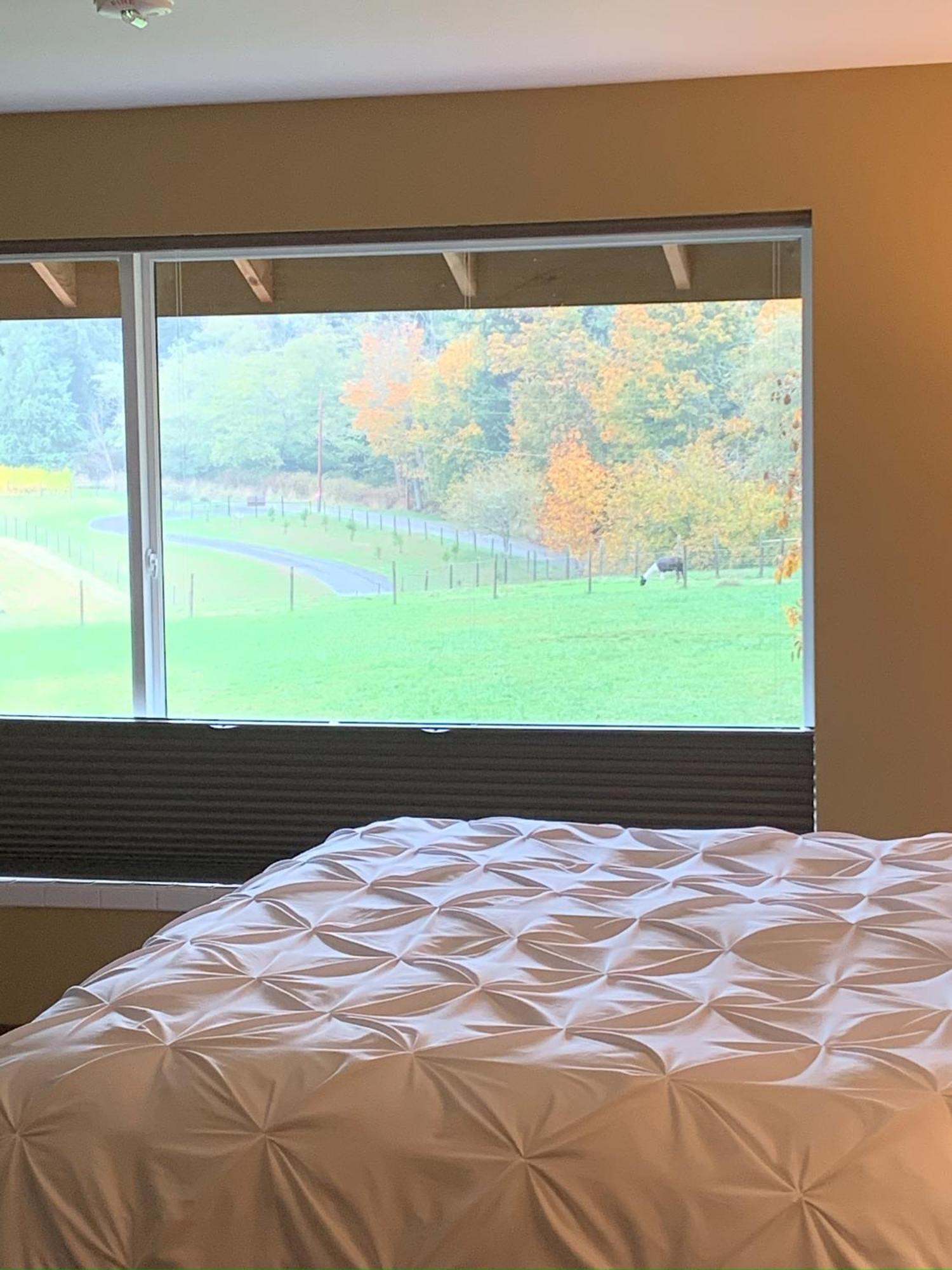 Comforts Of Whidbey Langley Exteriér fotografie